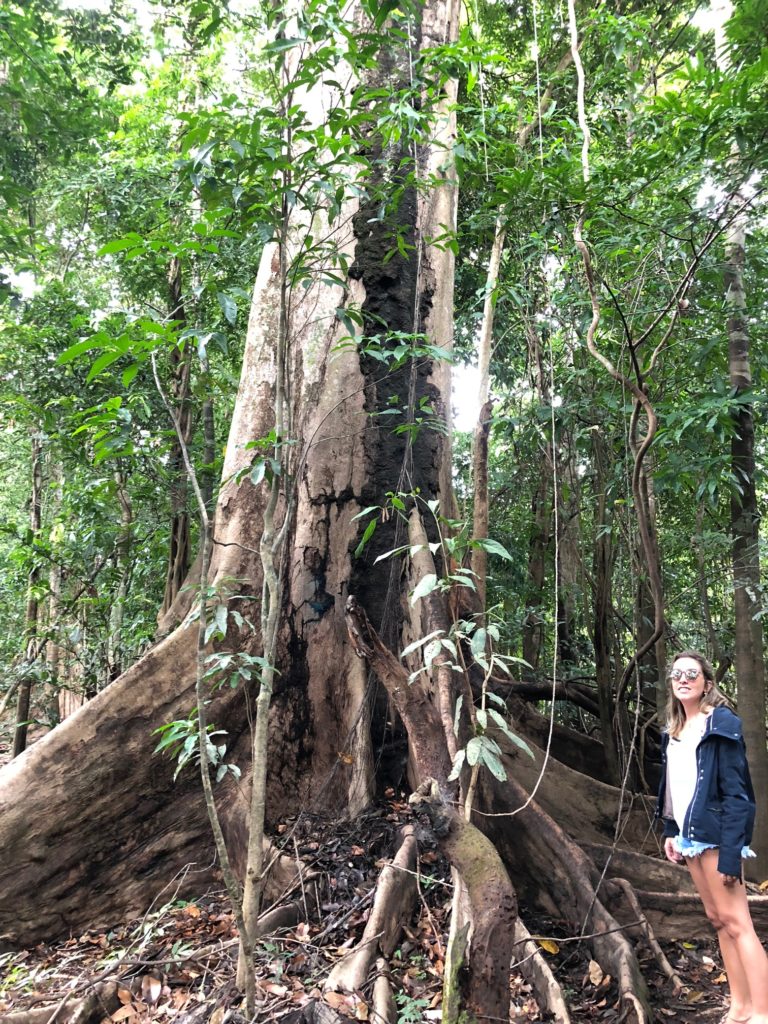 Anavilhanas: Hotel na Selva Amazônica