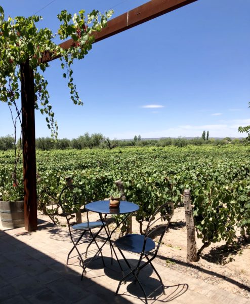 Dicas de vinícolas em Mendoza