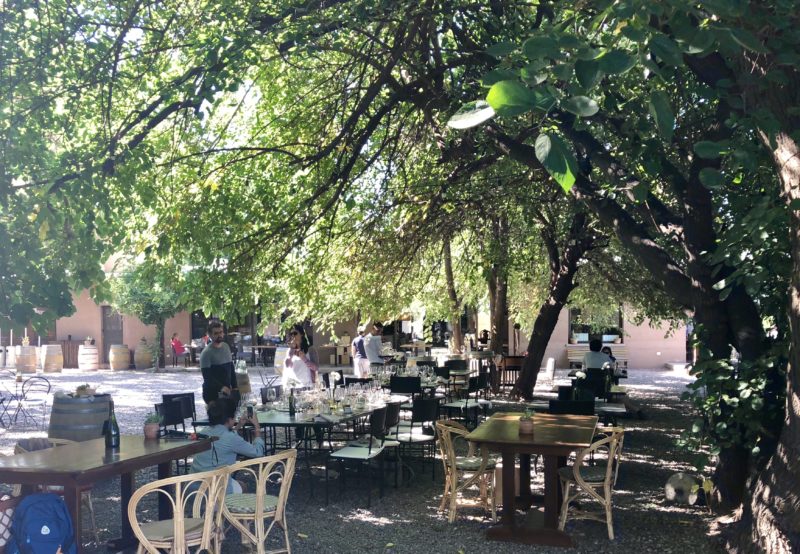 Dicas de vinícolas em Mendoza
