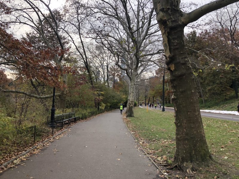 O que fazer em NY O que fazer em NY