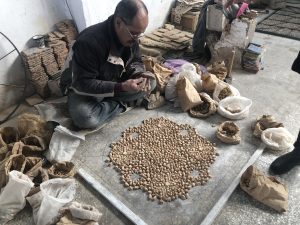 roteiro de 1 dia em fez
