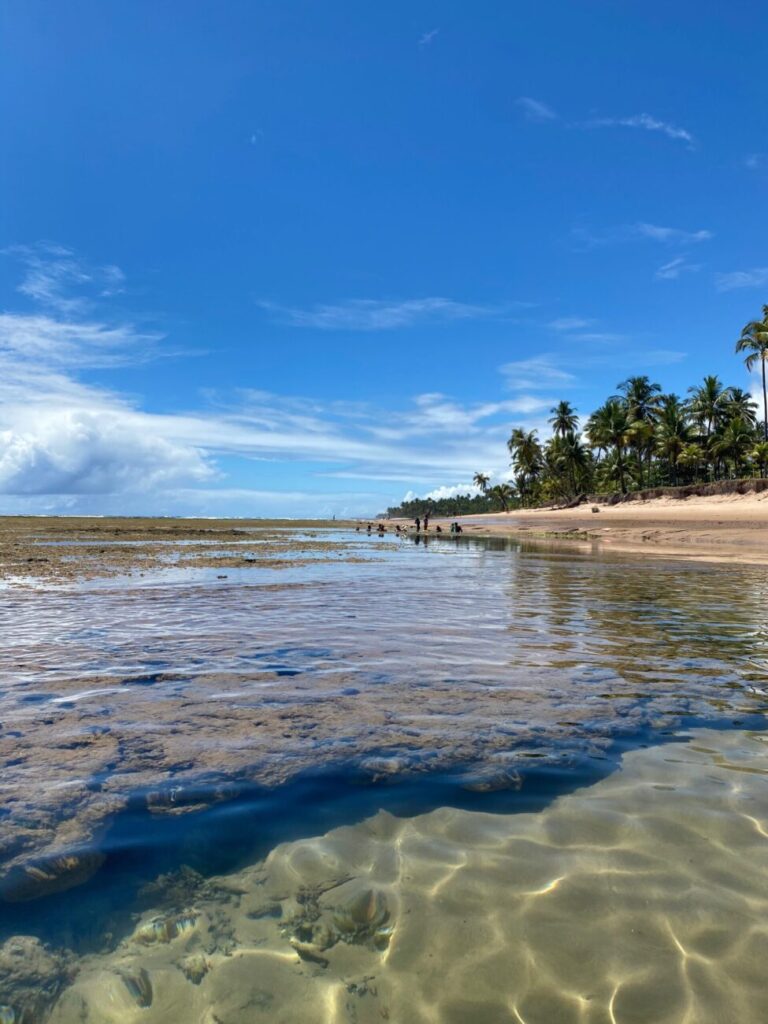 Piscinas Naturais de Taipu de fora durante a Maré baixa na Península de Marau